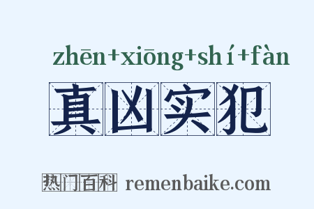 真凶实犯是什么意思的图片